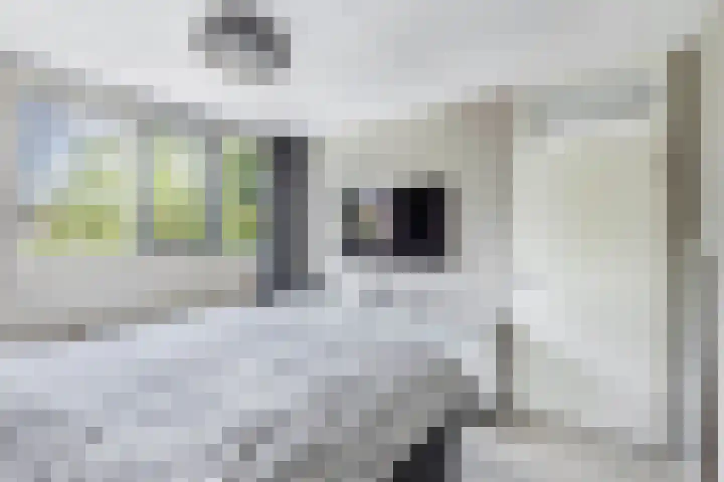 Vrouwenzand 5 Huizen thumbnail 17
