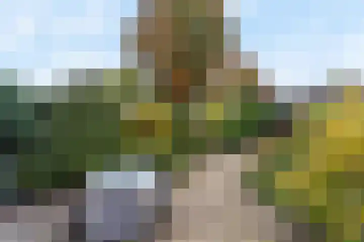 Vrouwenzand 51 Huizen thumbnail 22