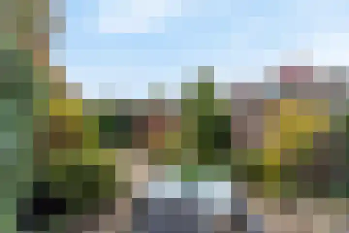 Vrouwenzand 51 Huizen thumbnail 23