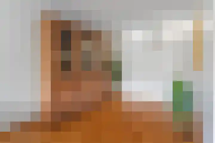 Vrouwenzand 51 Huizen thumbnail 8