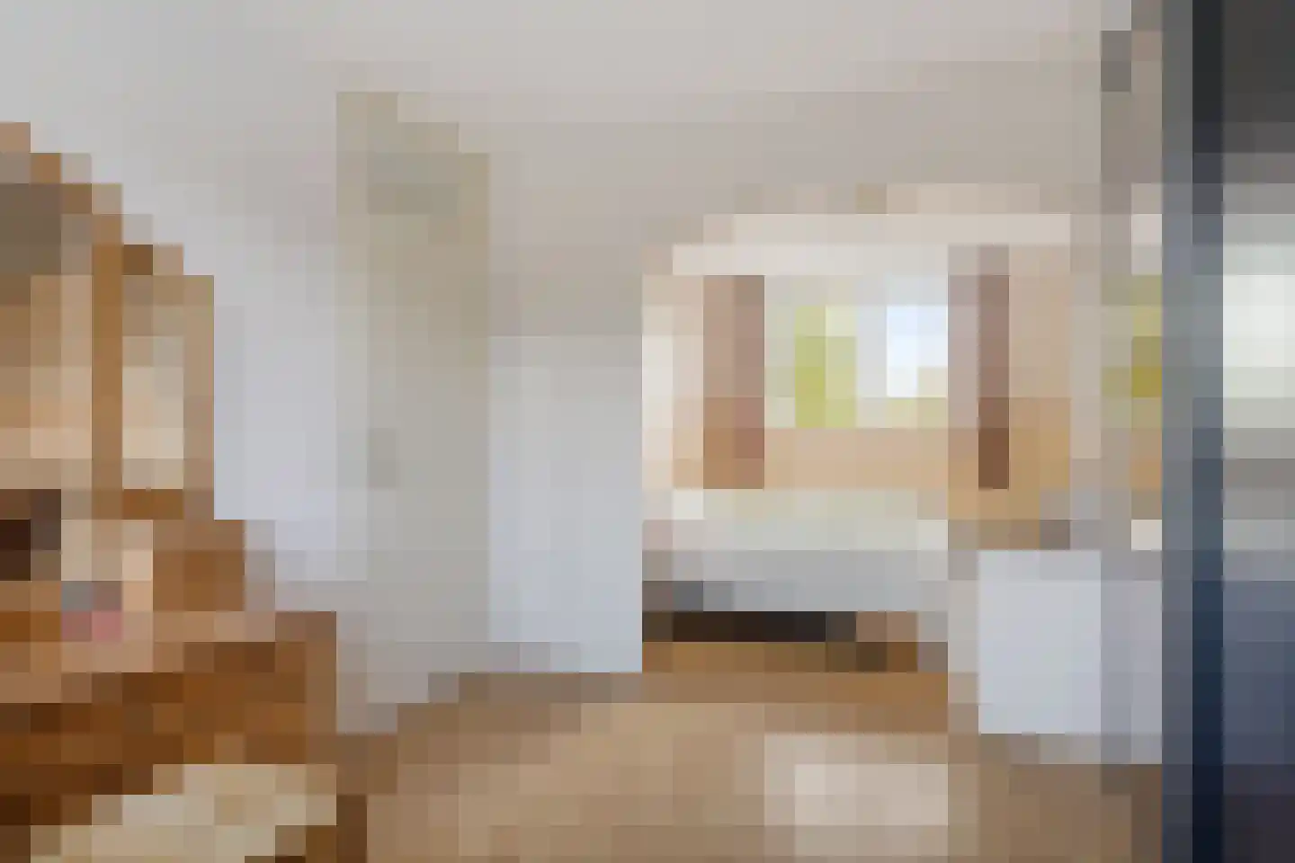 Vrouwenzand 58 Huizen thumbnail 27
