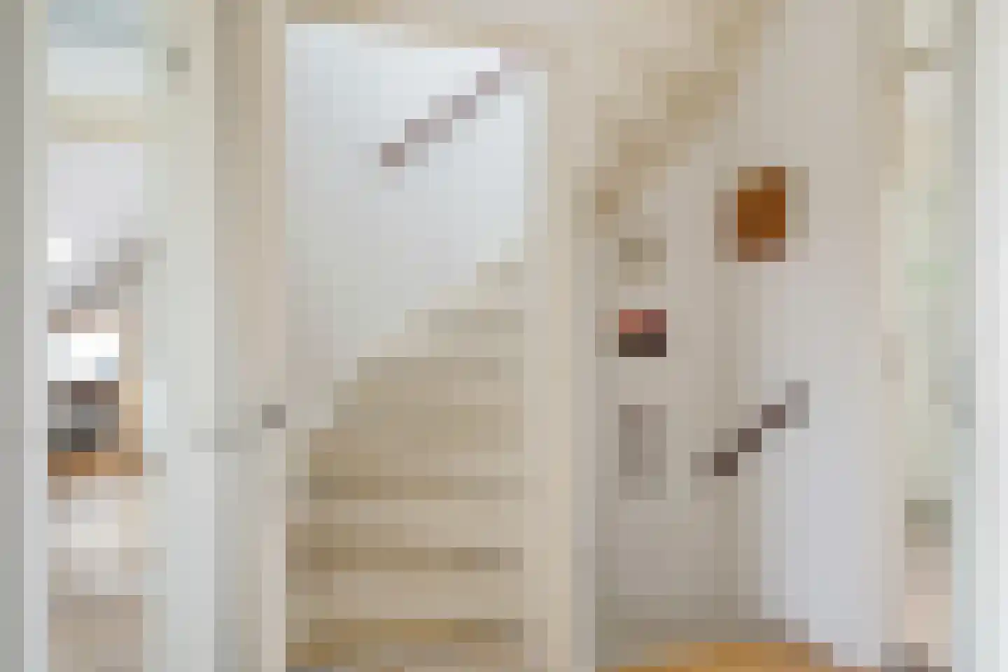 Vrouwenzand 58 Huizen thumbnail 36