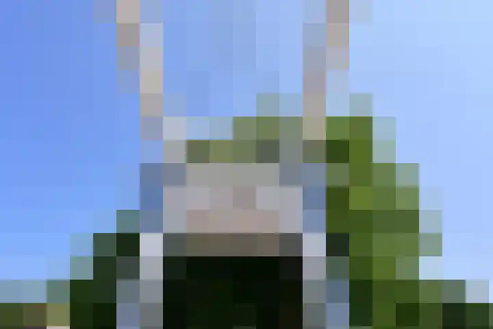 Vrouwenzand 72 Huizen thumbnail 16