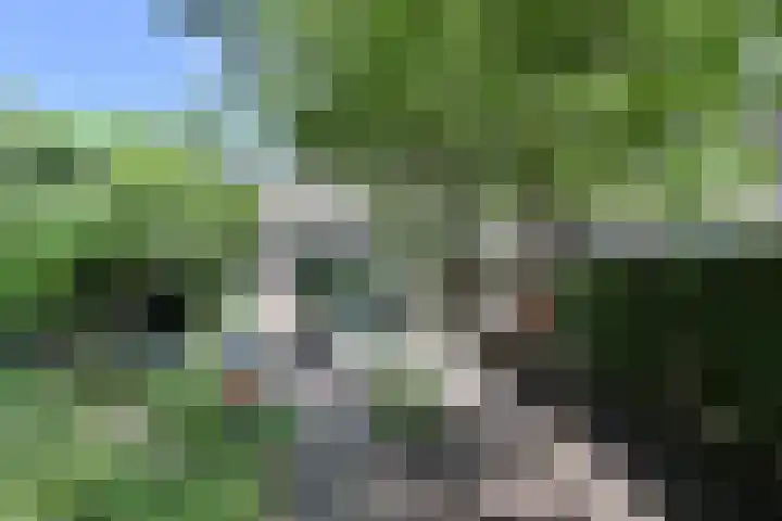 Vrouwenzand 72 Huizen thumbnail 7