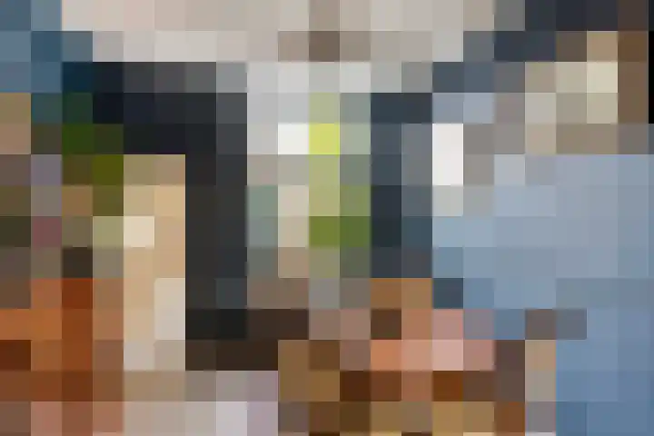 Vrouwesteeg 35 Gouda thumbnail 14