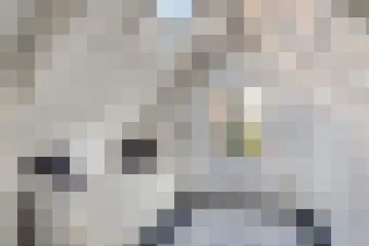Vrouwesteeg 35 Gouda thumbnail 20