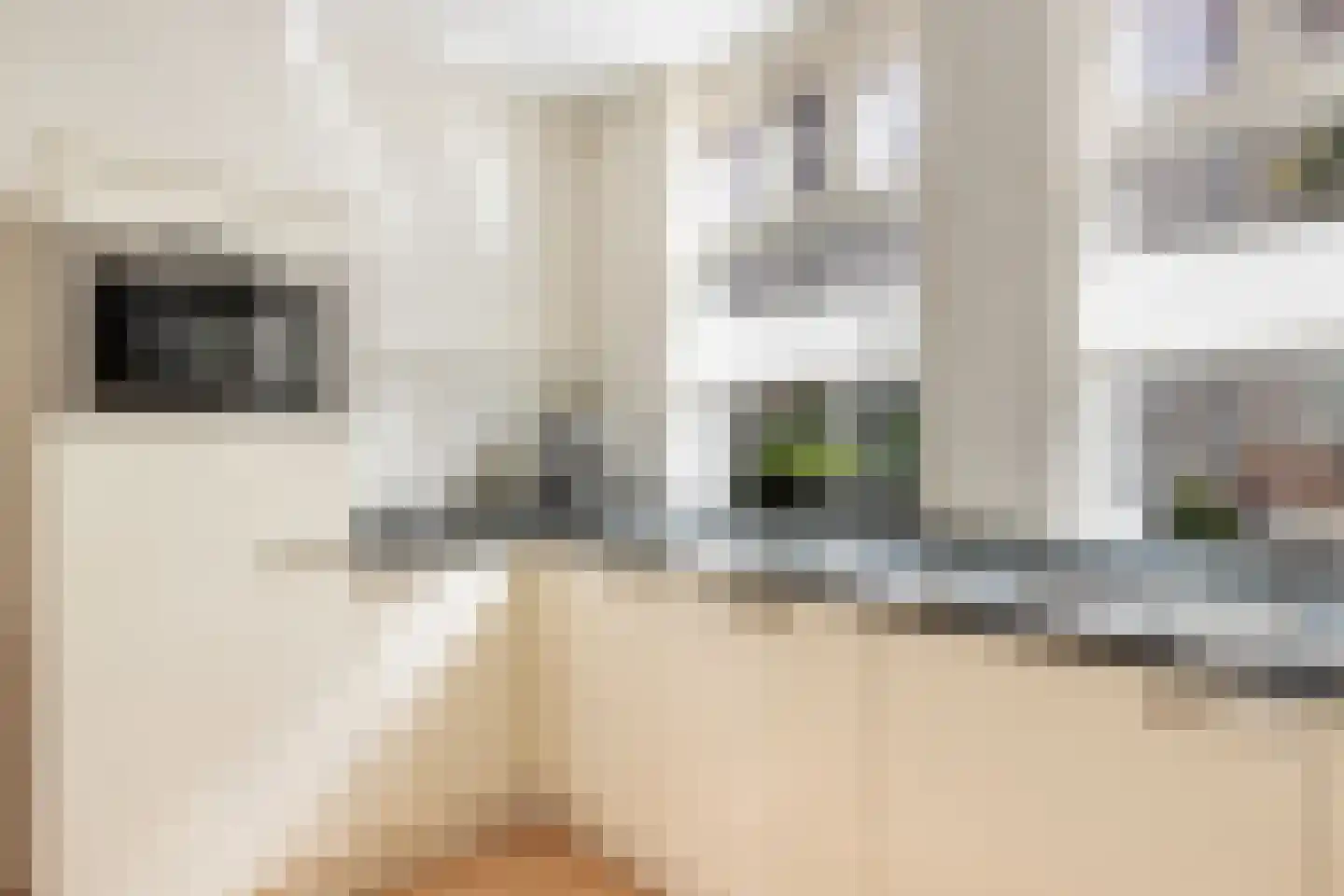 Vrouwesteeg 9 Gouda thumbnail 19