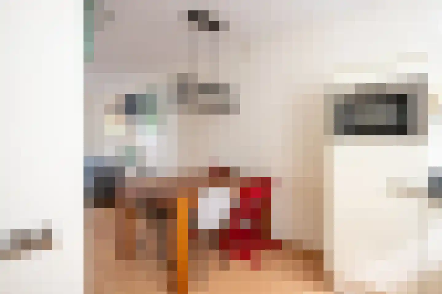 Vrouwesteeg 9 Gouda thumbnail 20