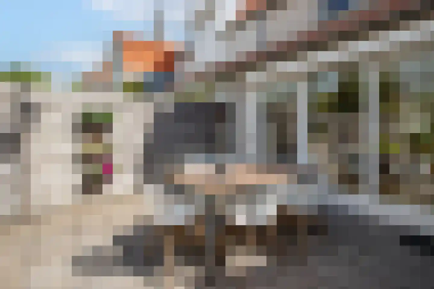 Vrouwesteeg 9 Gouda thumbnail 43