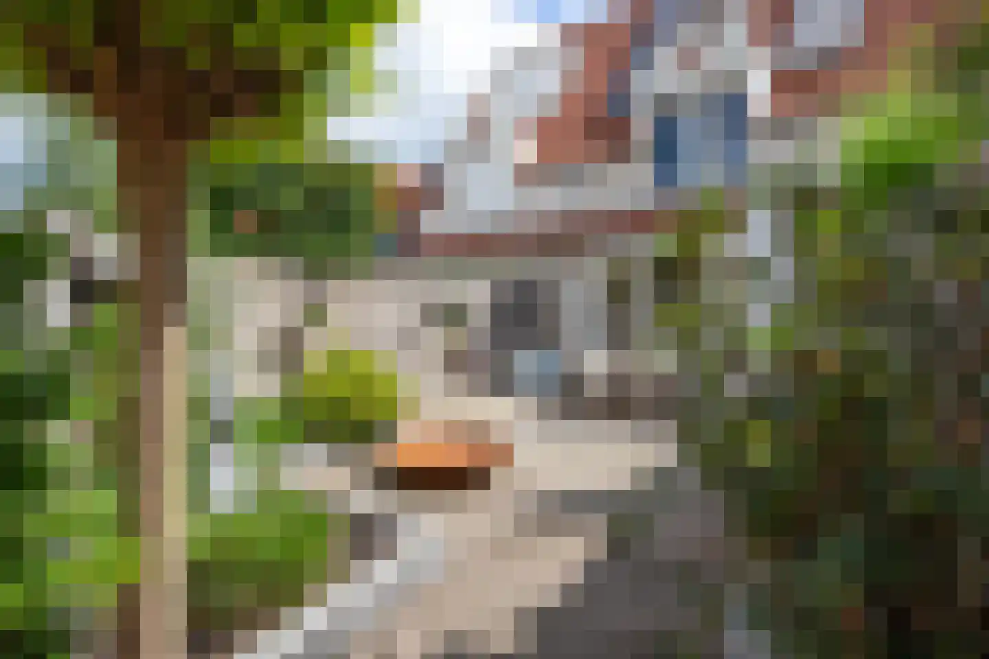 Vrouwesteeg 9 Gouda thumbnail 44