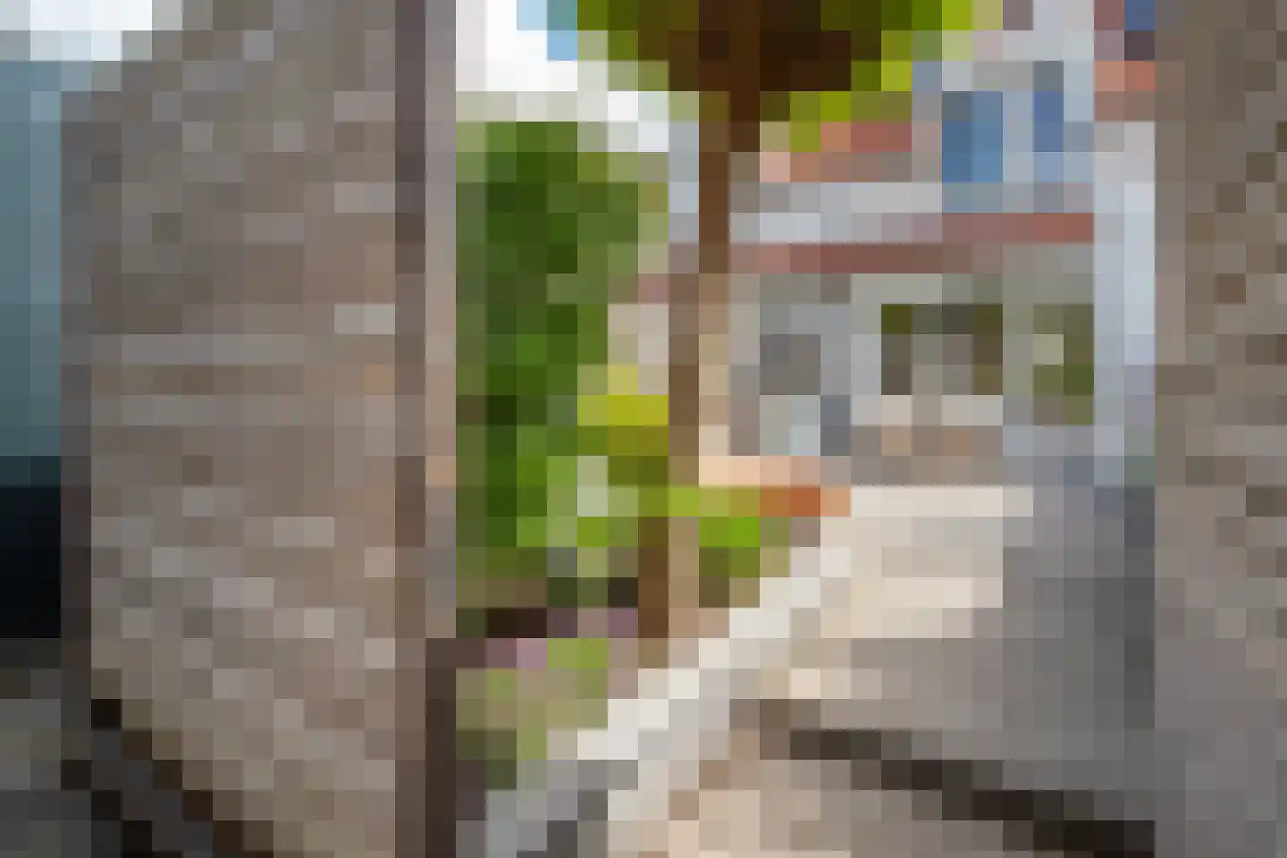 Vrouwesteeg 9 Gouda thumbnail 46