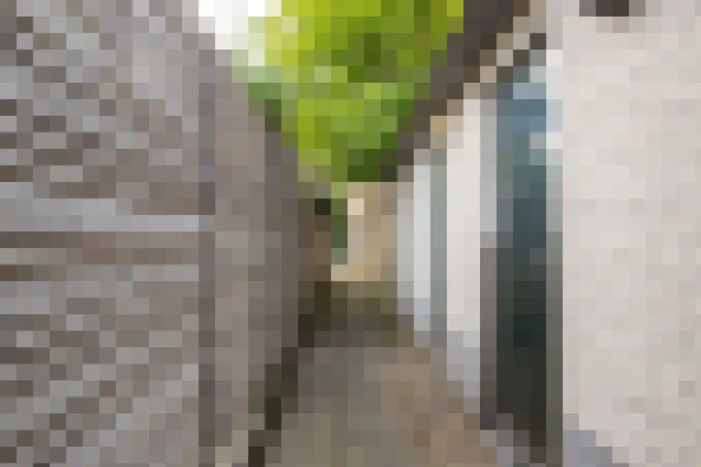 Vrouwesteeg 9 Gouda thumbnail 47