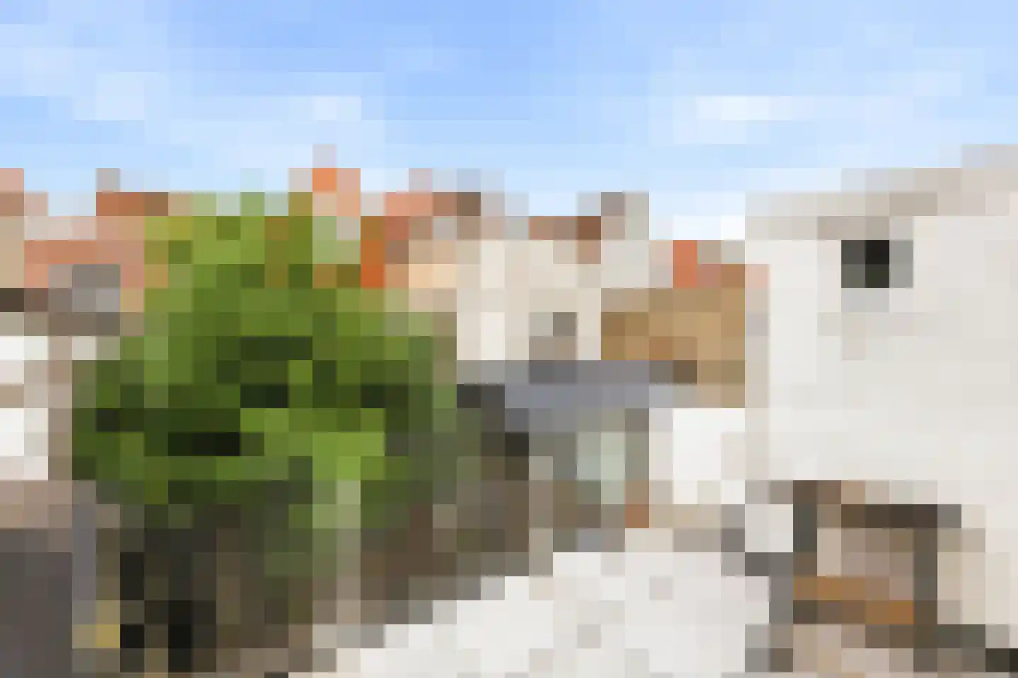 Vrouwestraat 22 a Vlissingen thumbnail 12