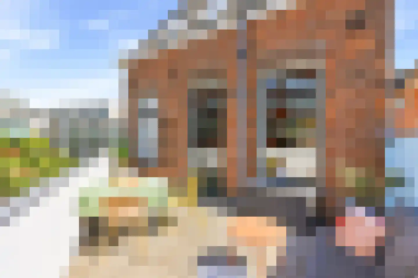 Vrouwestraat 45 Vlissingen thumbnail 31