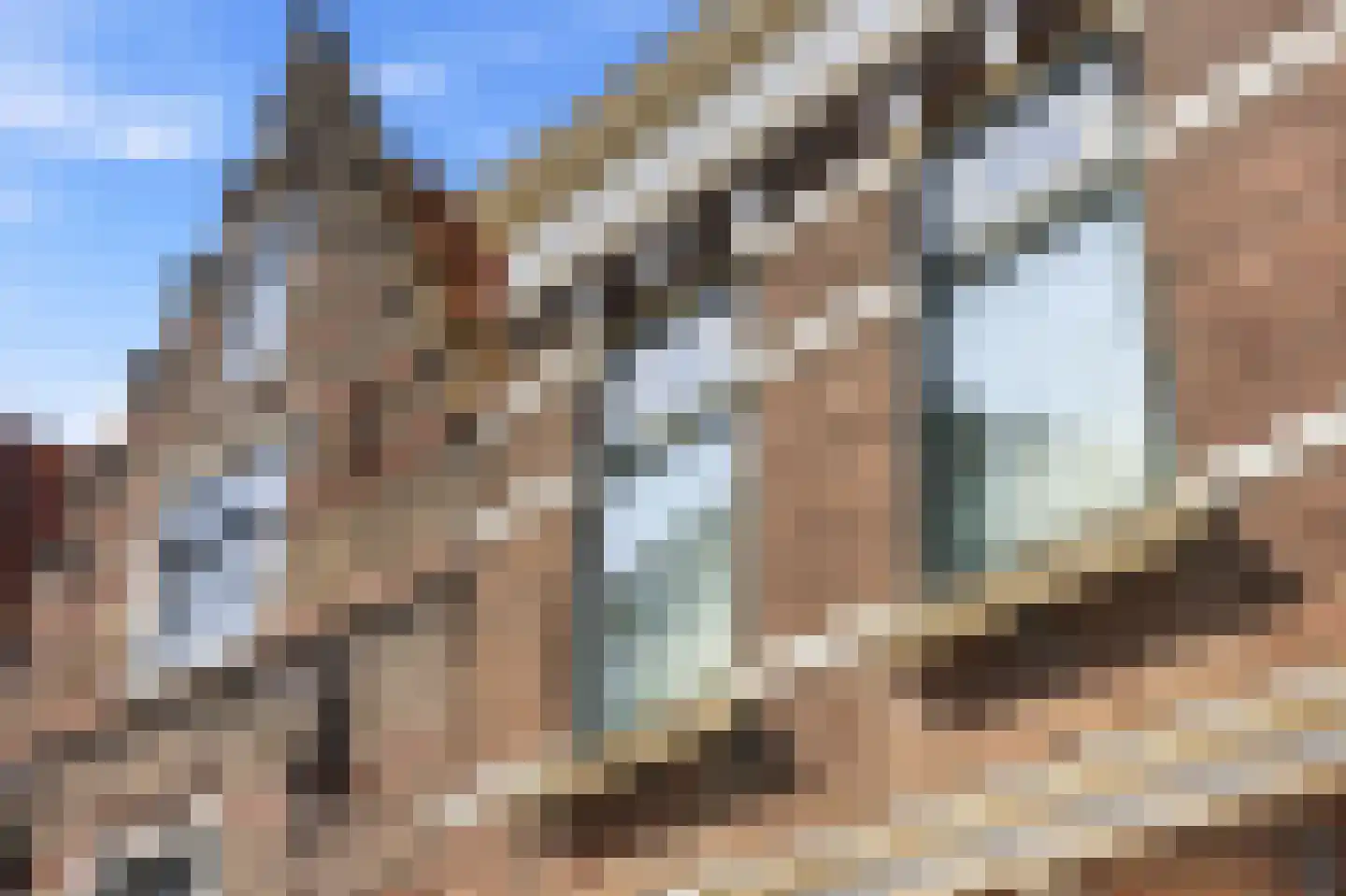Vrouwestraat 45 Vlissingen thumbnail 47