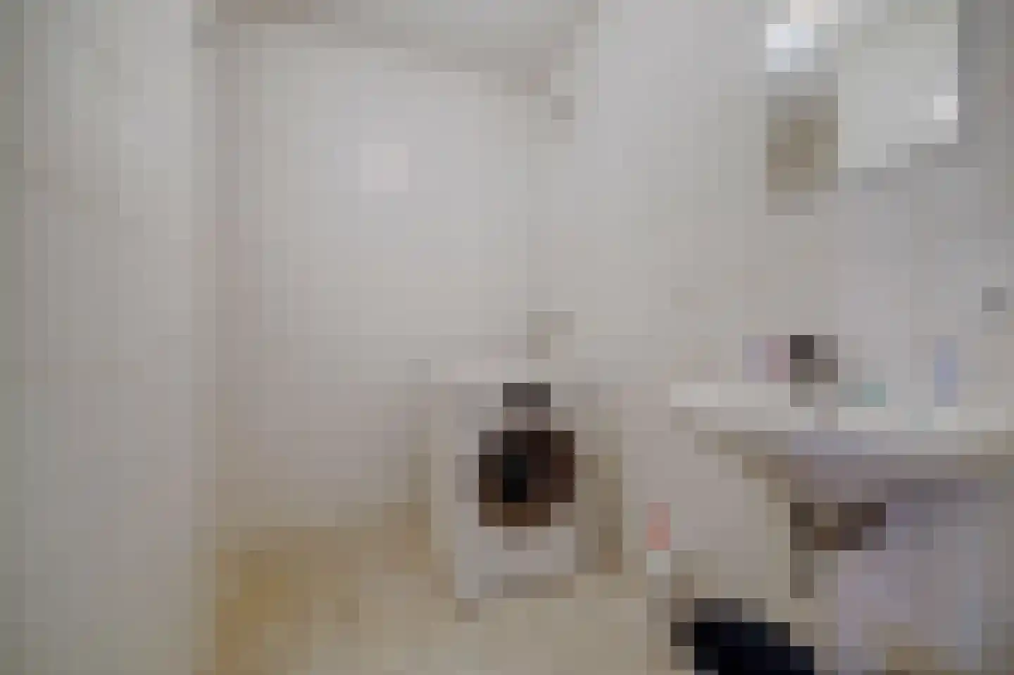 Vrouwestraat 5 Haaften thumbnail 11