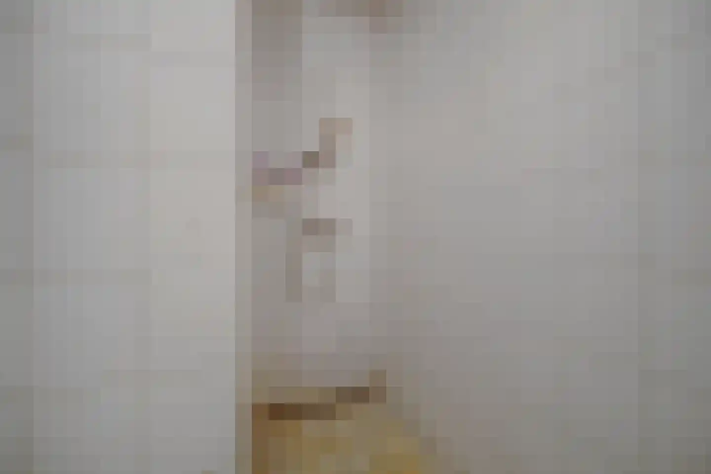 Vrouwestraat 5 Haaften thumbnail 12