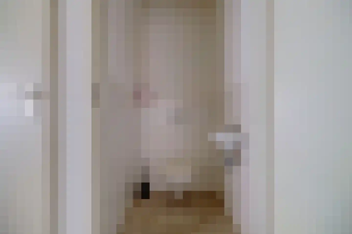 Vrouwestraat 5 Haaften thumbnail 15