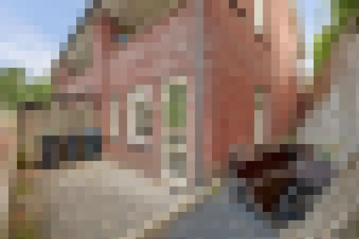 Vrouwestraat 5 Haaften thumbnail 18