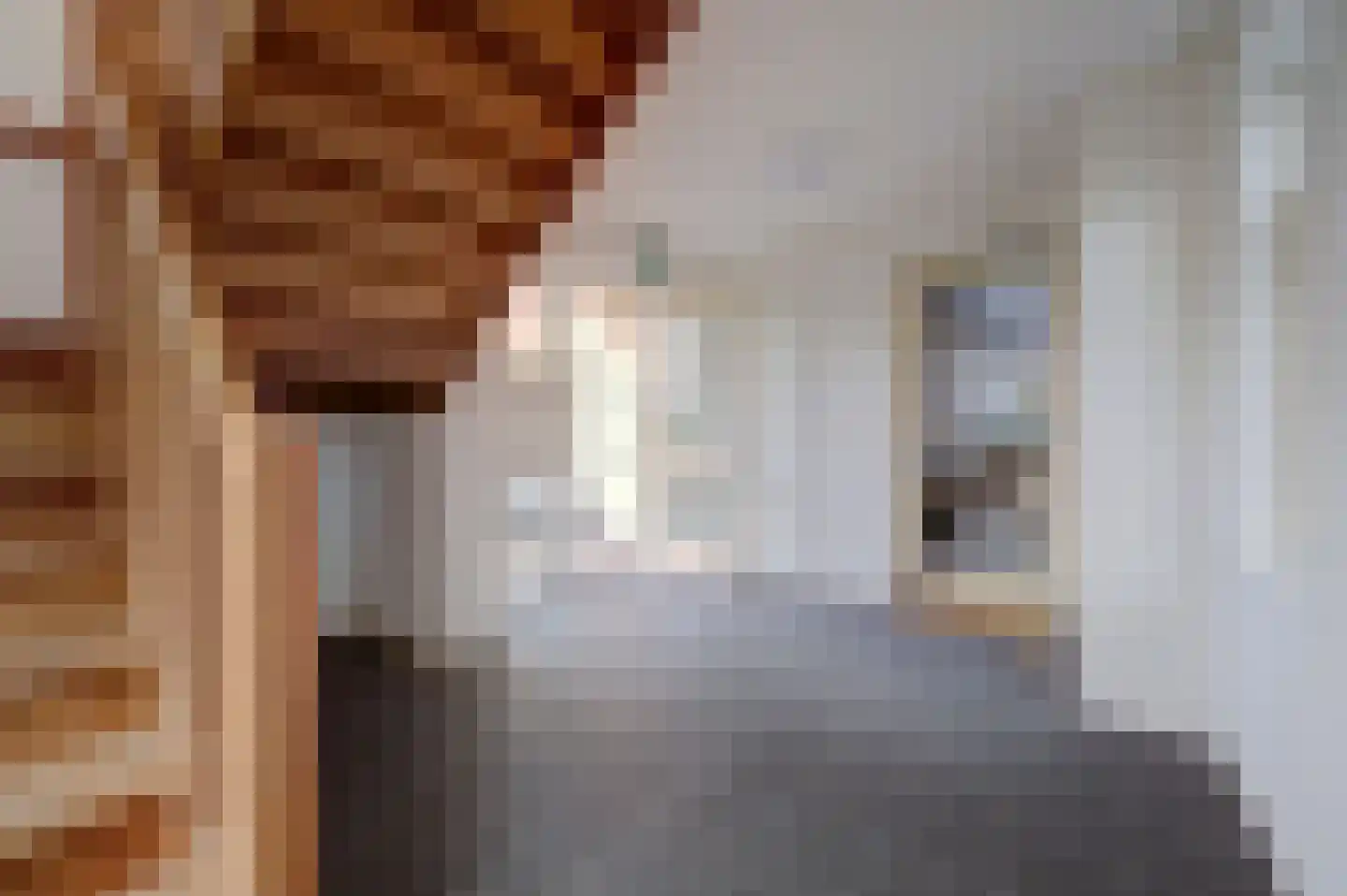 Vrouwestraat 5 Haaften thumbnail 21