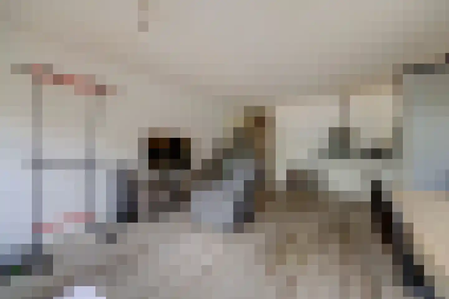 Vrouwestraat 5 Haaften thumbnail 5