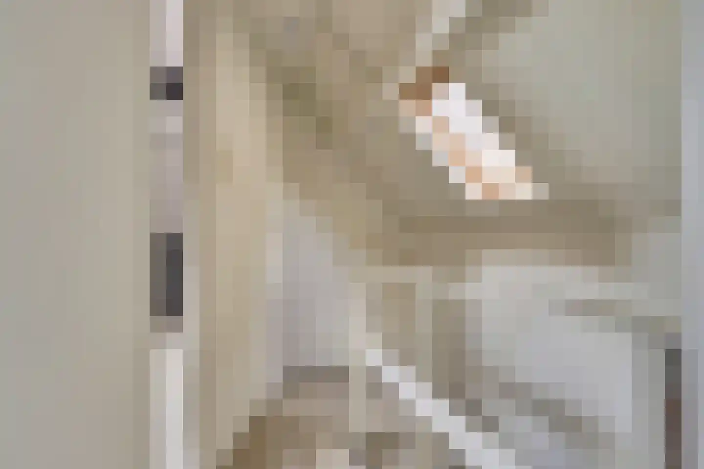 Vrouwevestesteeg 1 Gouda thumbnail 18