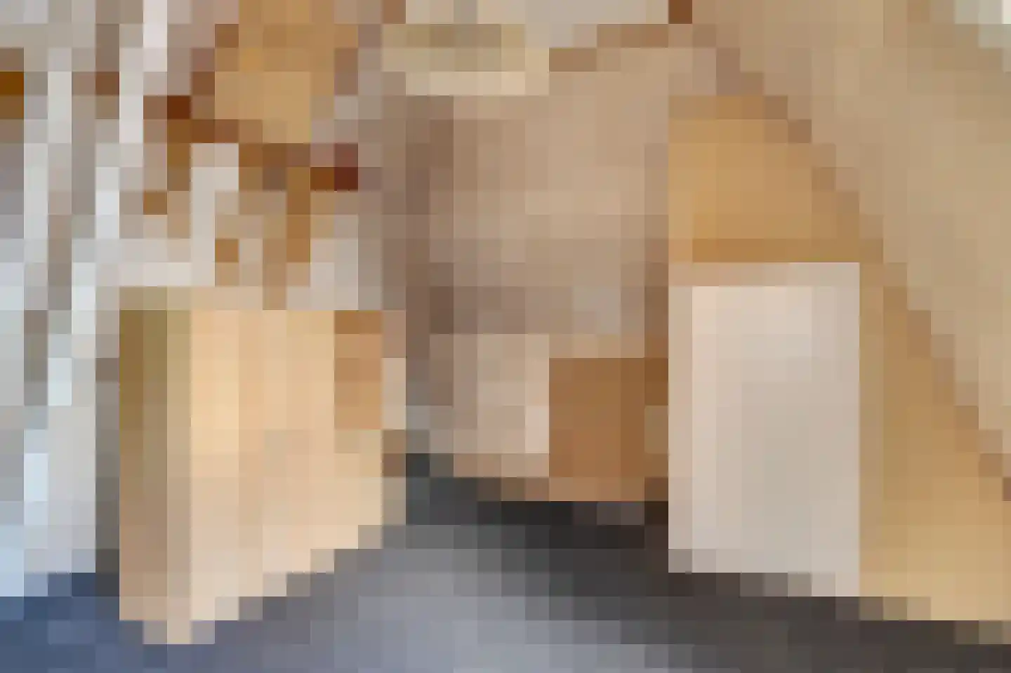 Vrouwevestesteeg 1 Gouda thumbnail 19