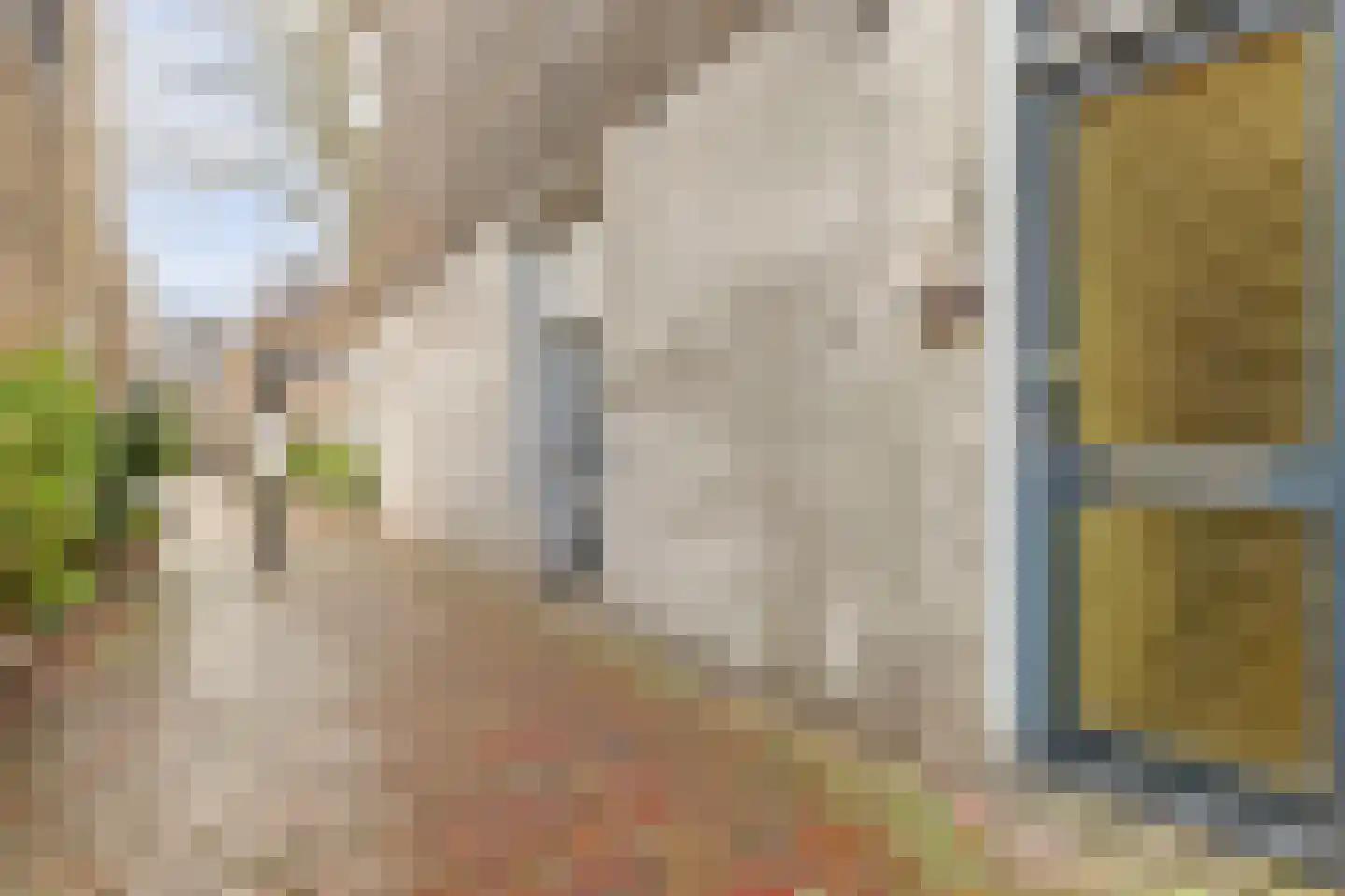 Vrouwevestesteeg 1 Gouda thumbnail 23