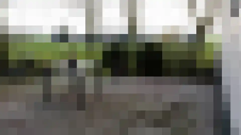Vrouwgeestweg Woubrugge thumbnail 5
