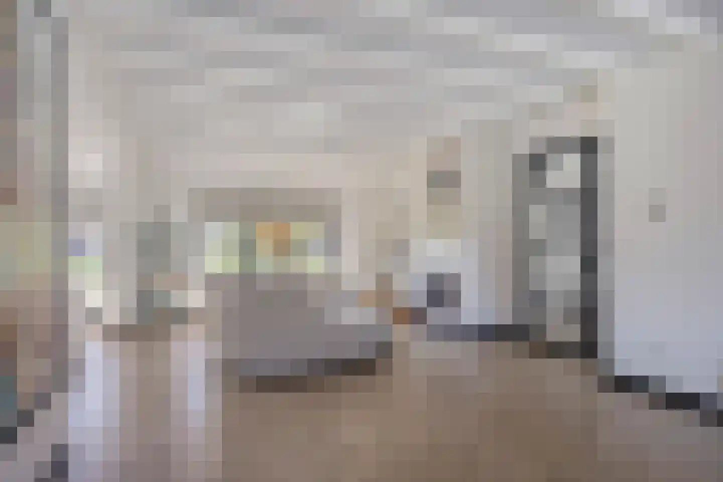 Vrouwgelenweg 100 Hendrik-Ido-Ambacht thumbnail 13
