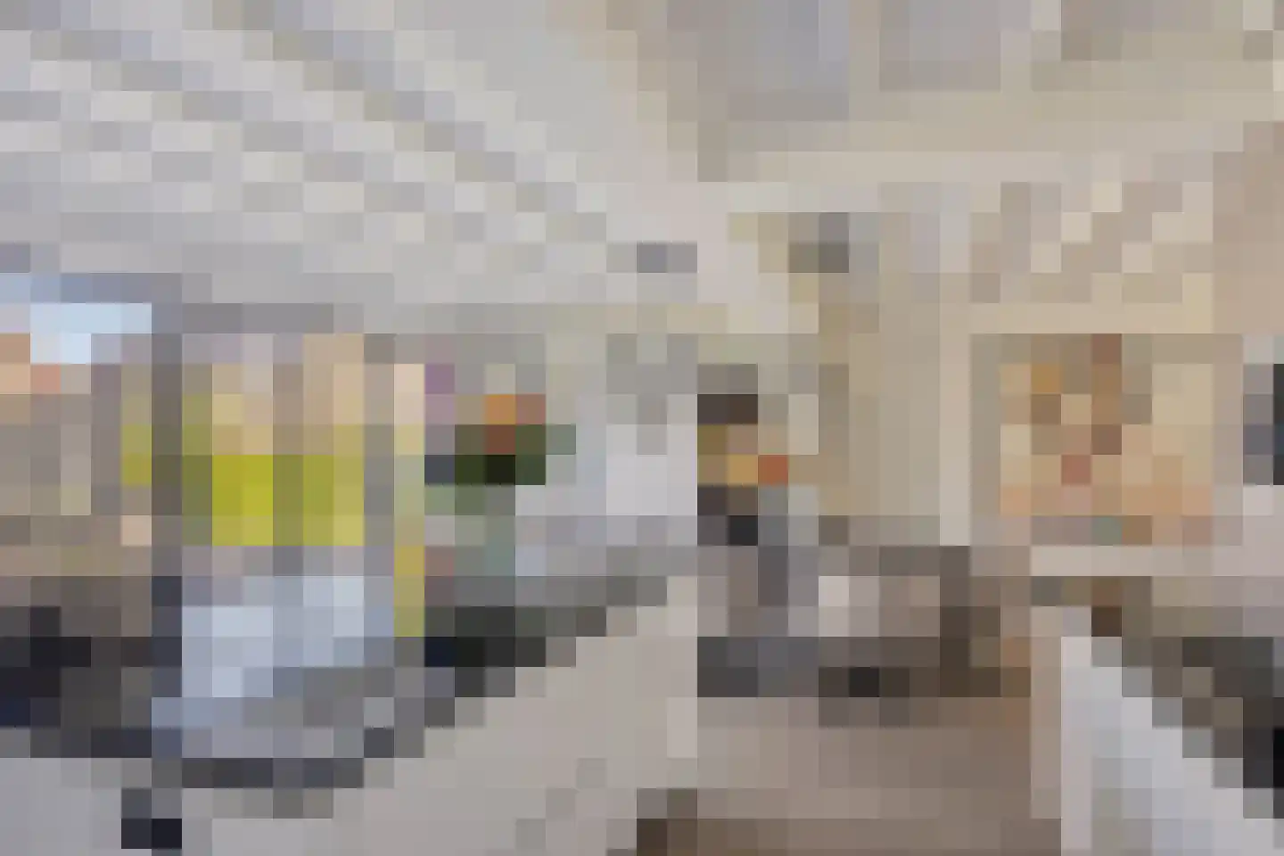 Vrouwgelenweg 100 Hendrik-Ido-Ambacht thumbnail 18