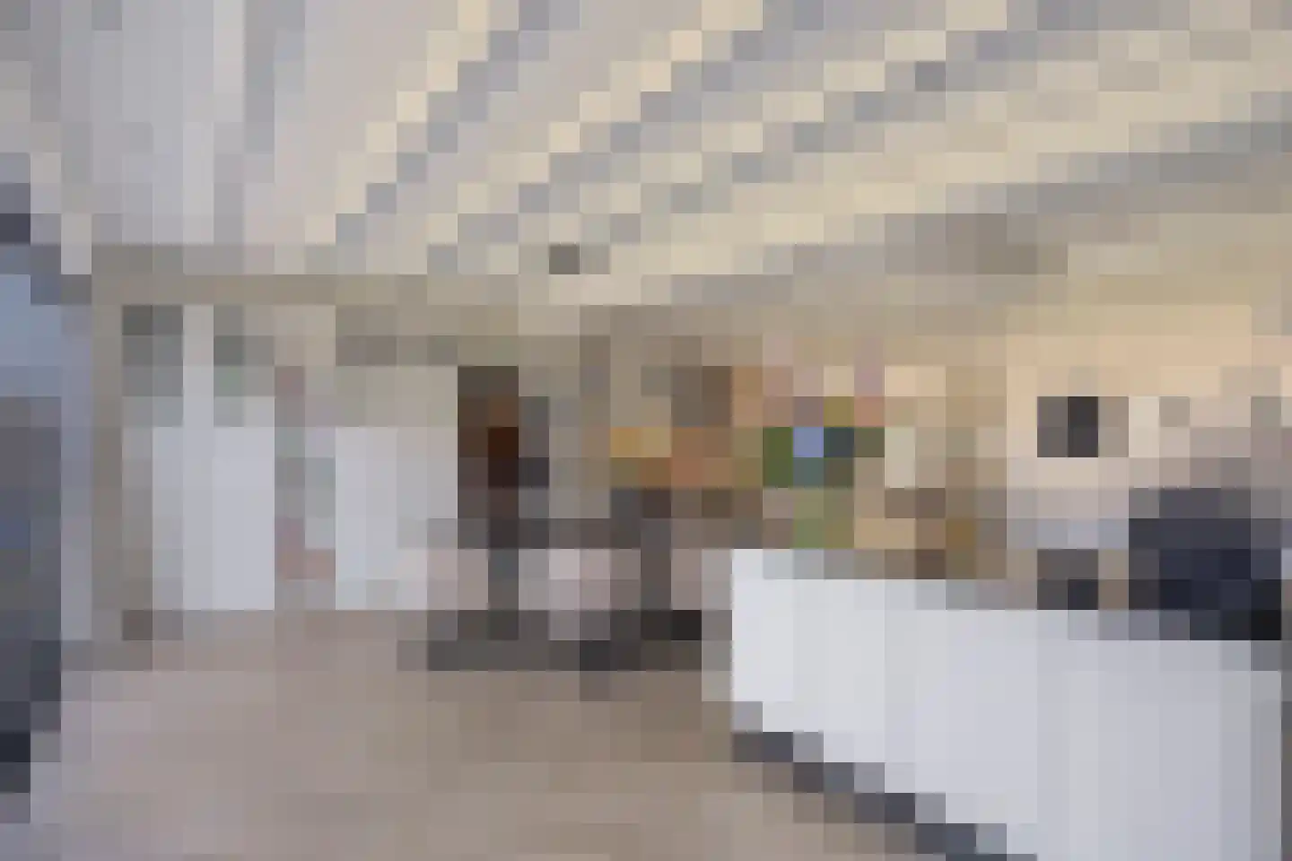 Vrouwgelenweg 100 Hendrik-Ido-Ambacht thumbnail 24