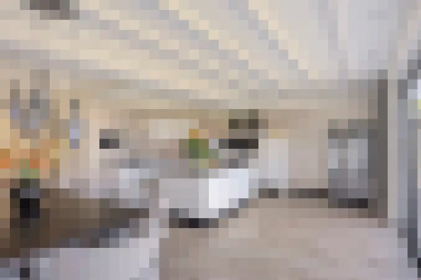 Vrouwgelenweg 100 Hendrik-Ido-Ambacht thumbnail 25