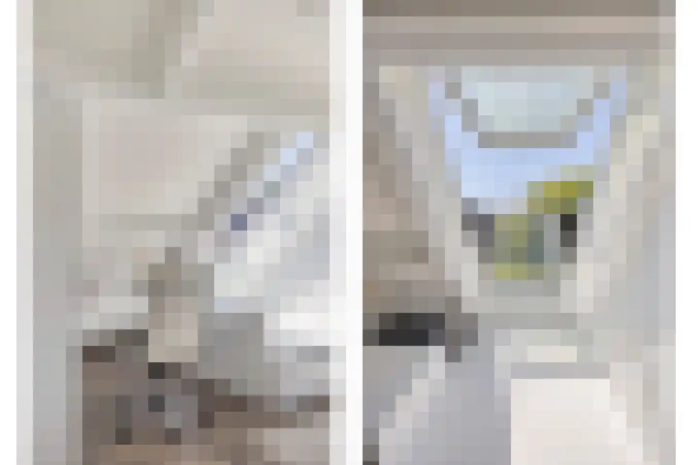Vrouwgelenweg 100 Hendrik-Ido-Ambacht thumbnail 36