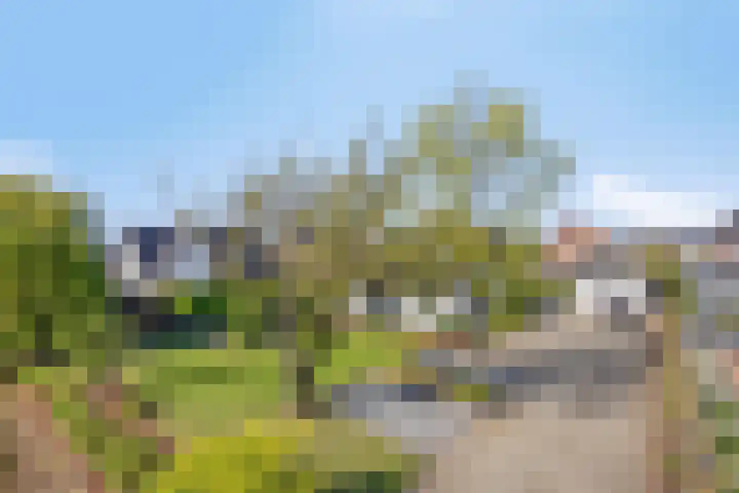 Vrouwgelenweg 100 Hendrik-Ido-Ambacht thumbnail 4