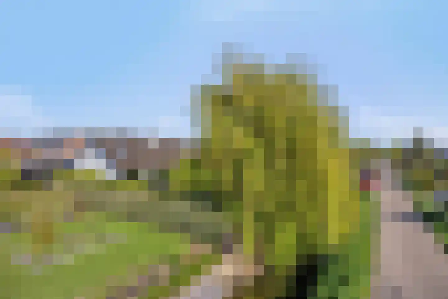 Vrouwgelenweg 100 Hendrik-Ido-Ambacht thumbnail 5
