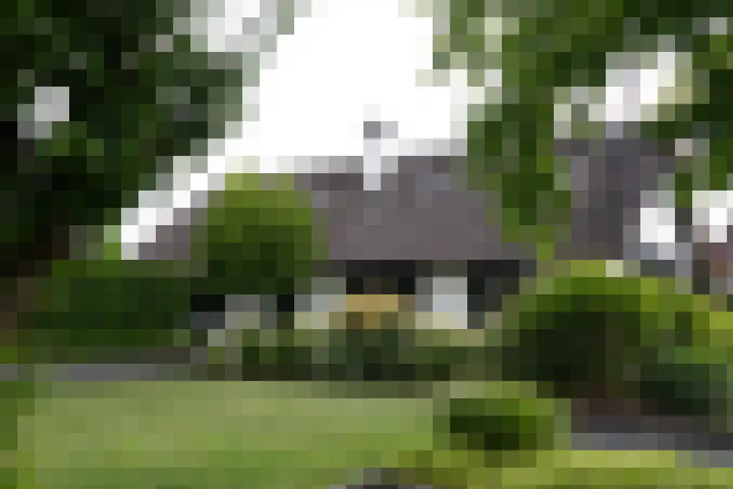 Vrouwgelenweg 100 Hendrik-Ido-Ambacht thumbnail 5