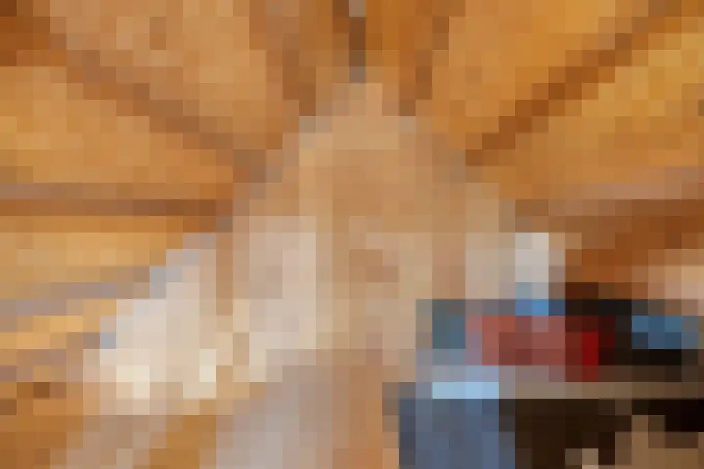 Vrouwgelenweg 100 Hendrik-Ido-Ambacht thumbnail 81