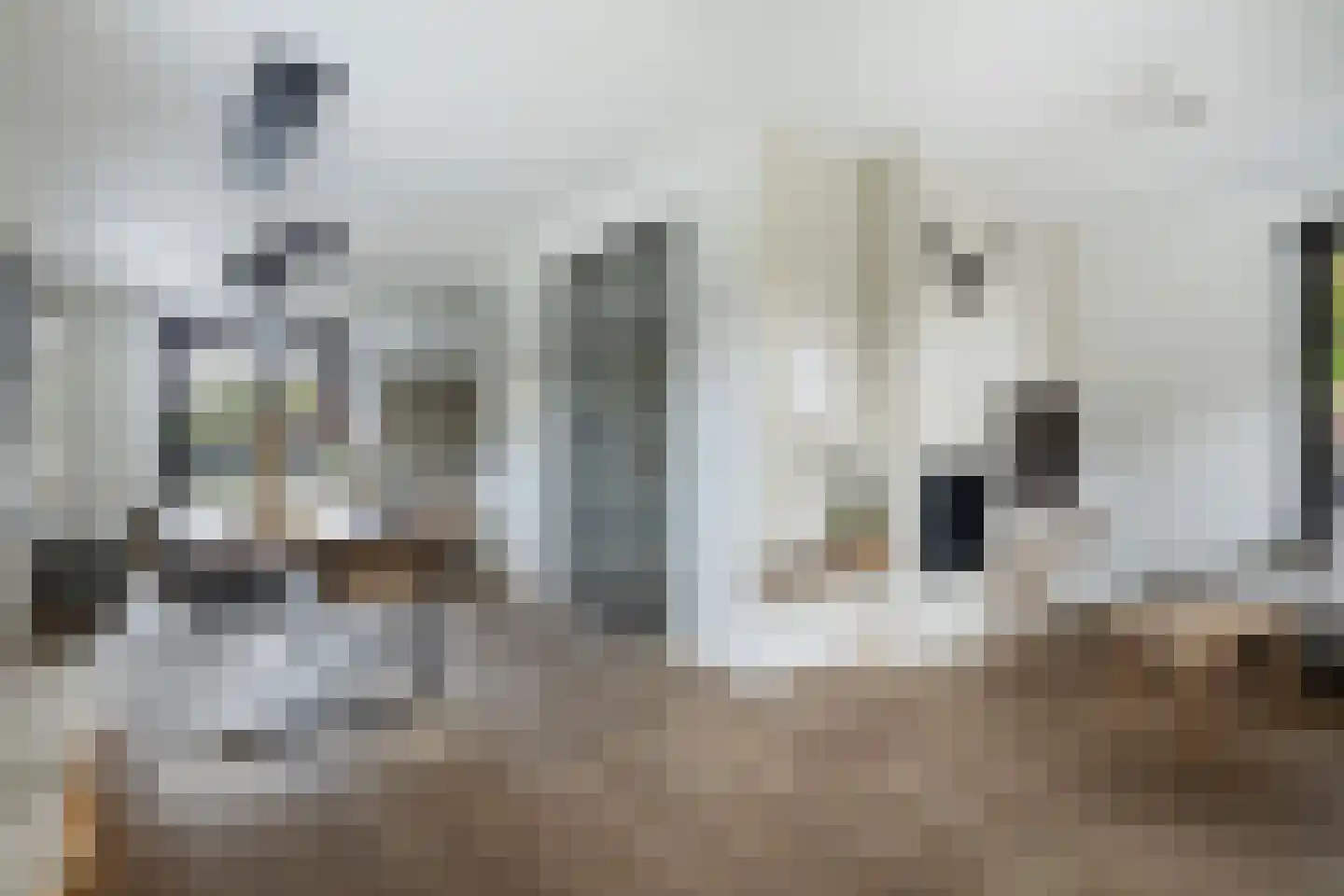 Vrouwgelenweg 11 Hendrik-Ido-Ambacht thumbnail 11