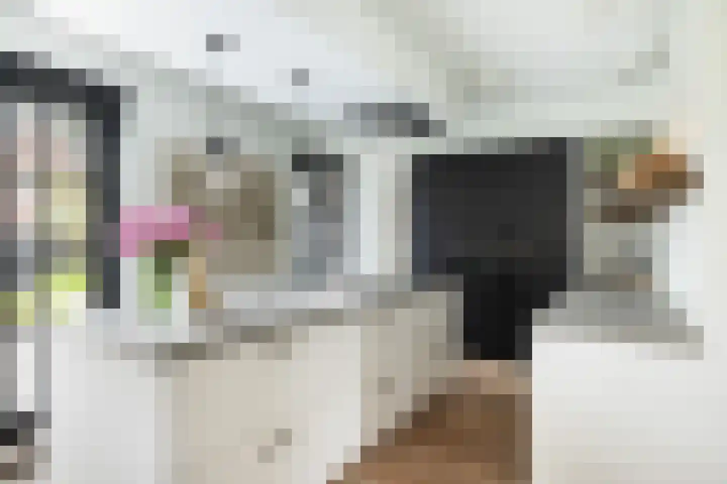 Vrouwgelenweg 11 Hendrik-Ido-Ambacht thumbnail 13