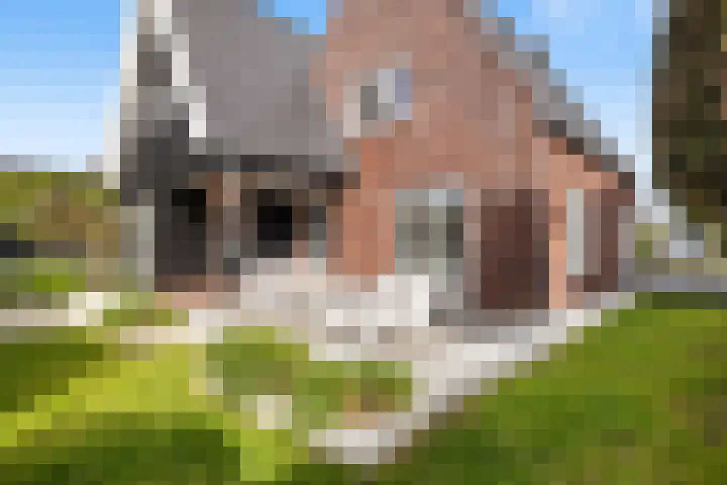 Vrouwgelenweg 11 Hendrik-Ido-Ambacht thumbnail 17