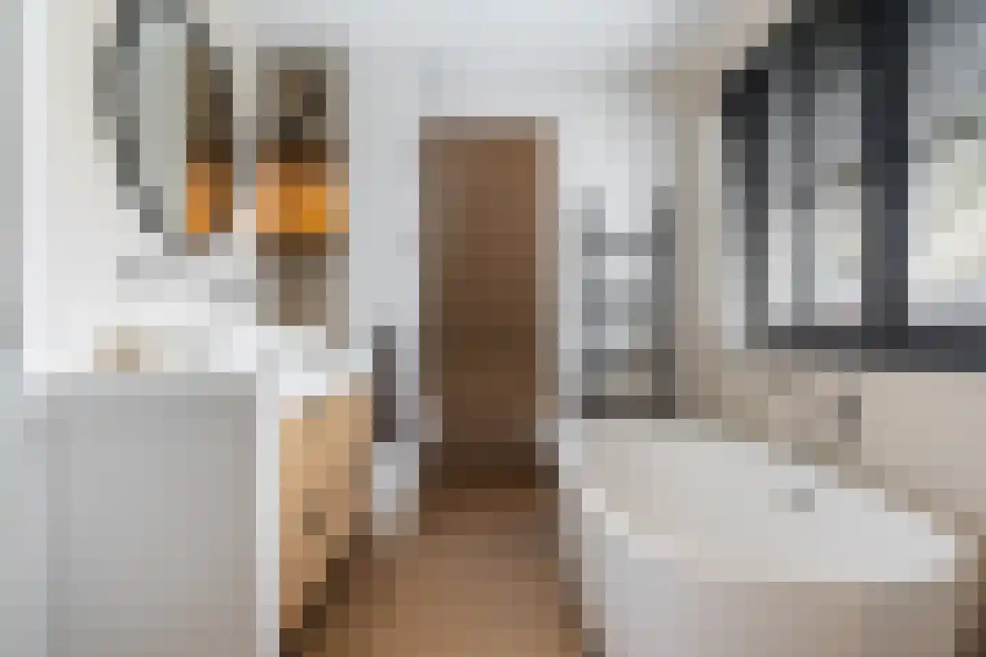 Vrouwgelenweg 11 Hendrik-Ido-Ambacht thumbnail 33