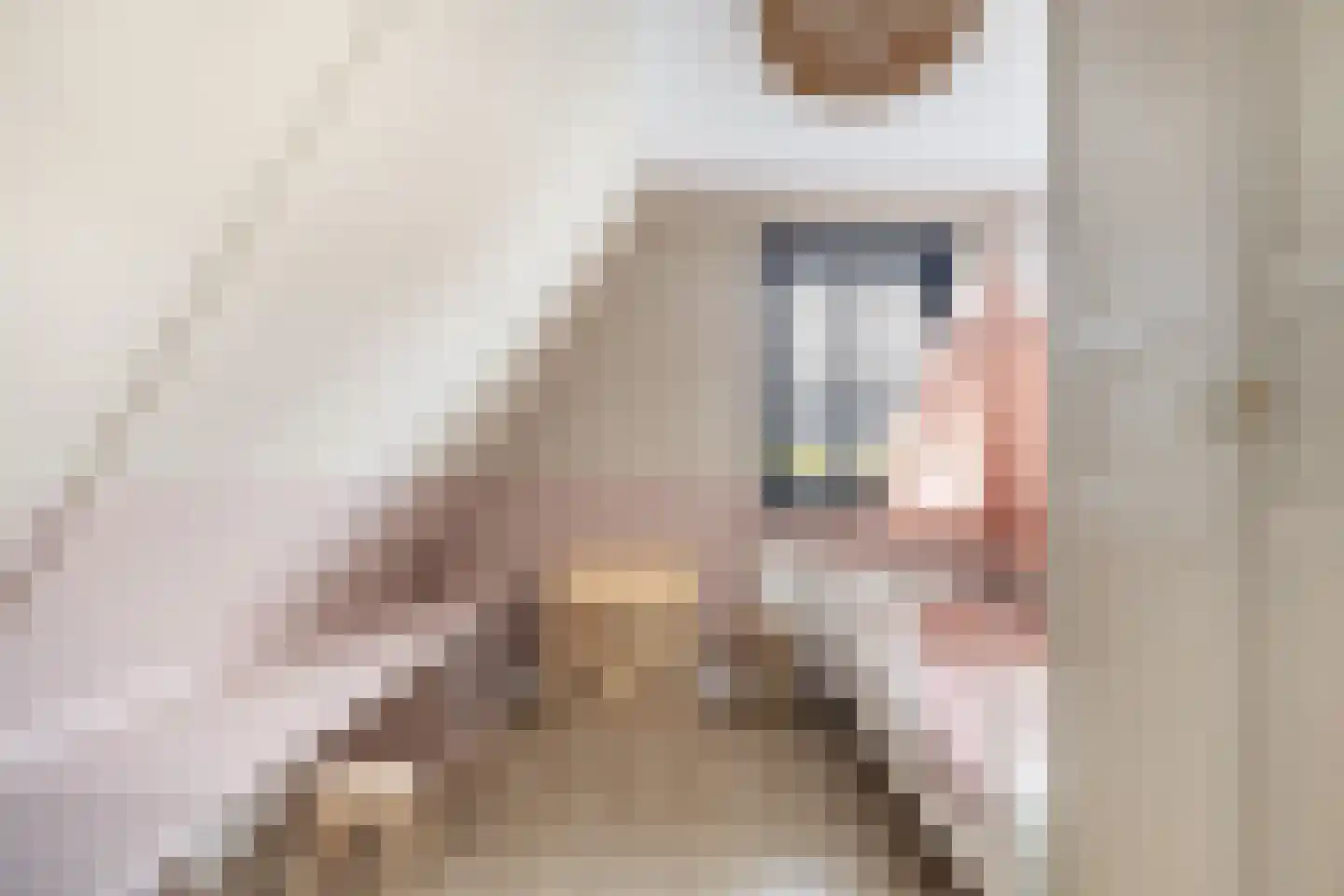 Vrouwgelenweg 11 Hendrik-Ido-Ambacht thumbnail 40