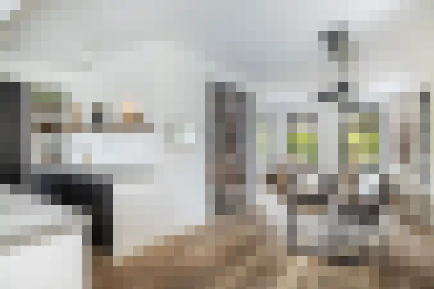 Vrouwgelenweg 11 Hendrik-Ido-Ambacht thumbnail 6
