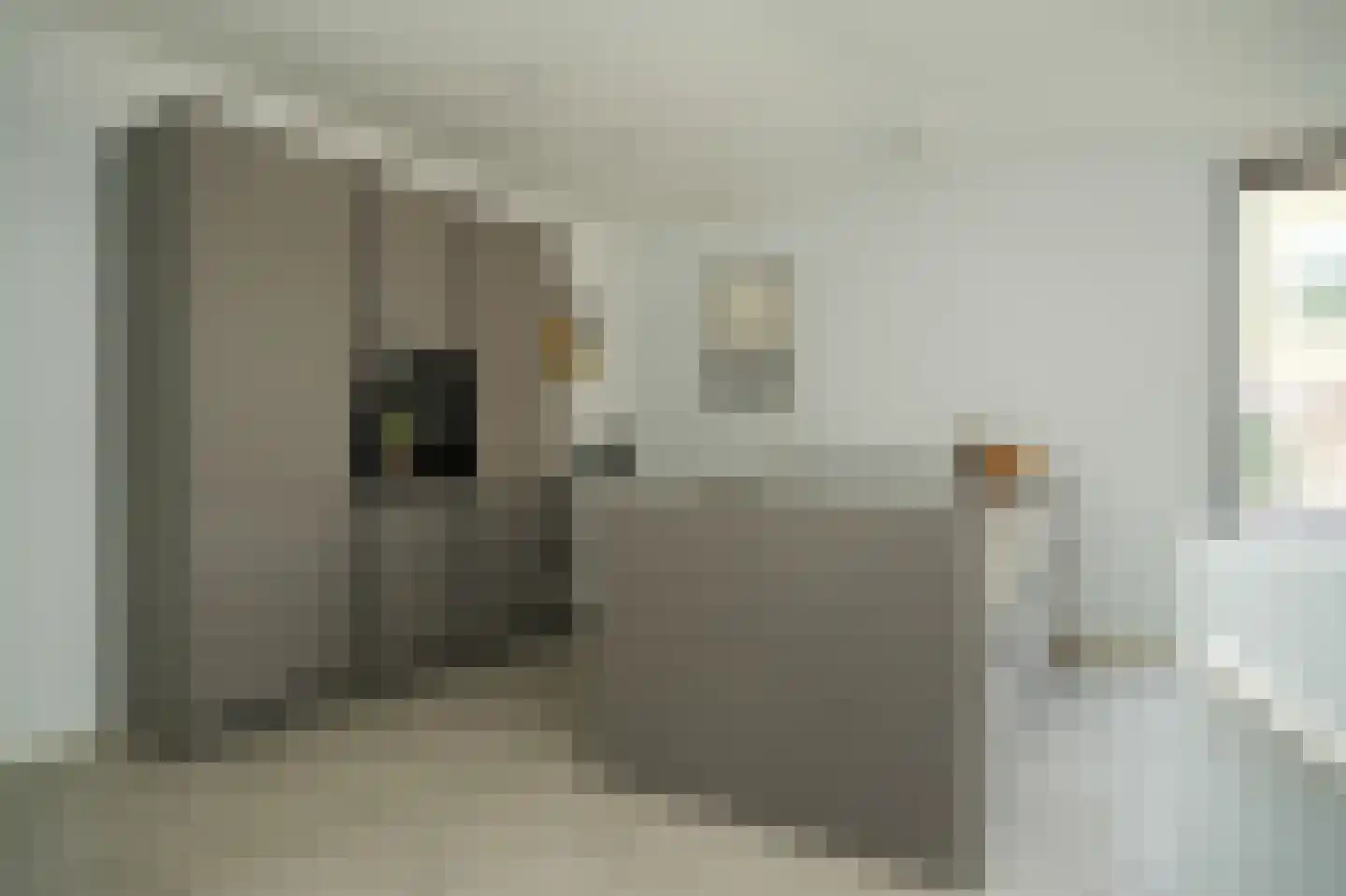 Vrouwjuttenhof 46 Utrecht thumbnail 12