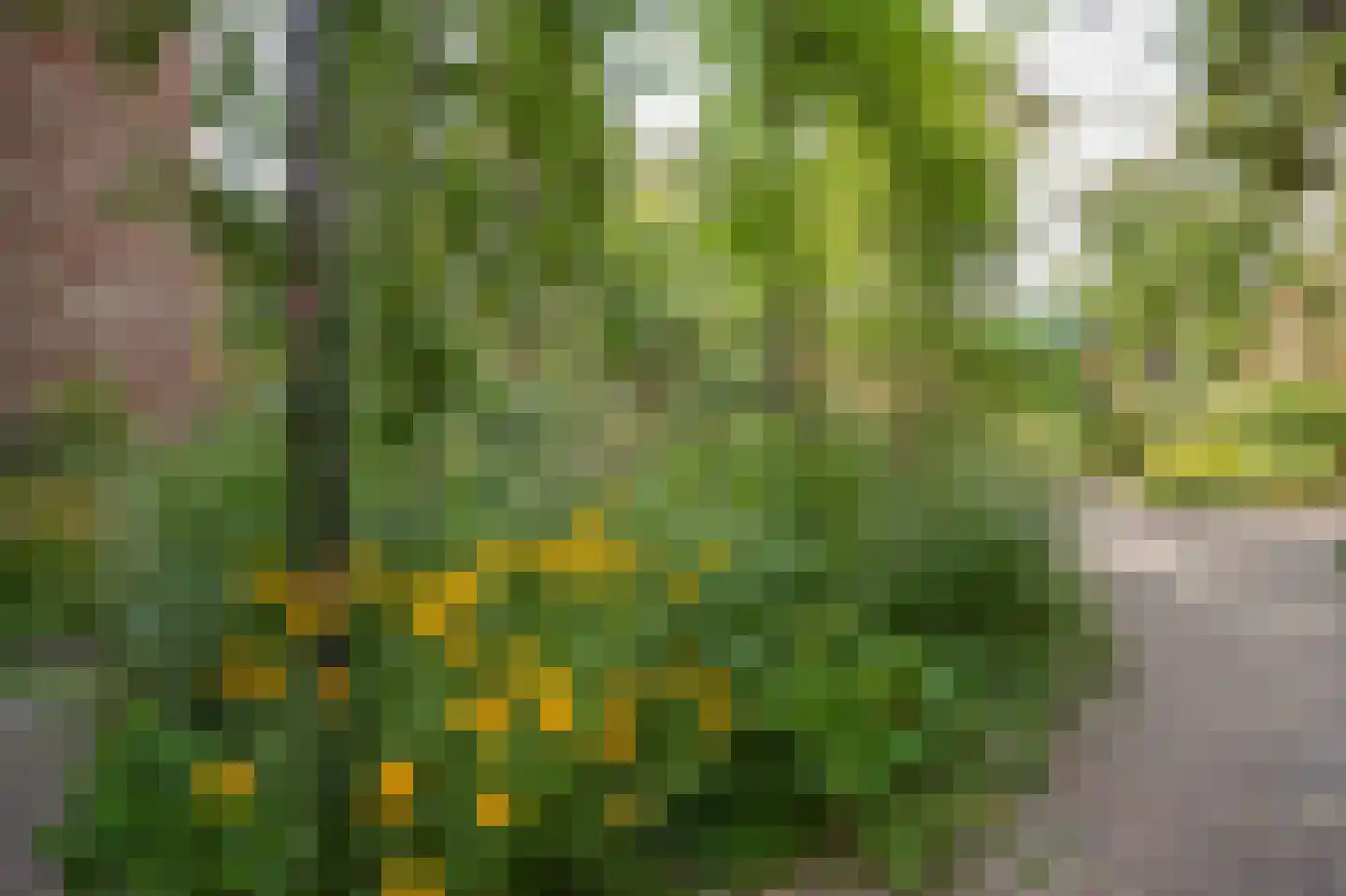 Vrouwjuttenhof 46 Utrecht thumbnail 36