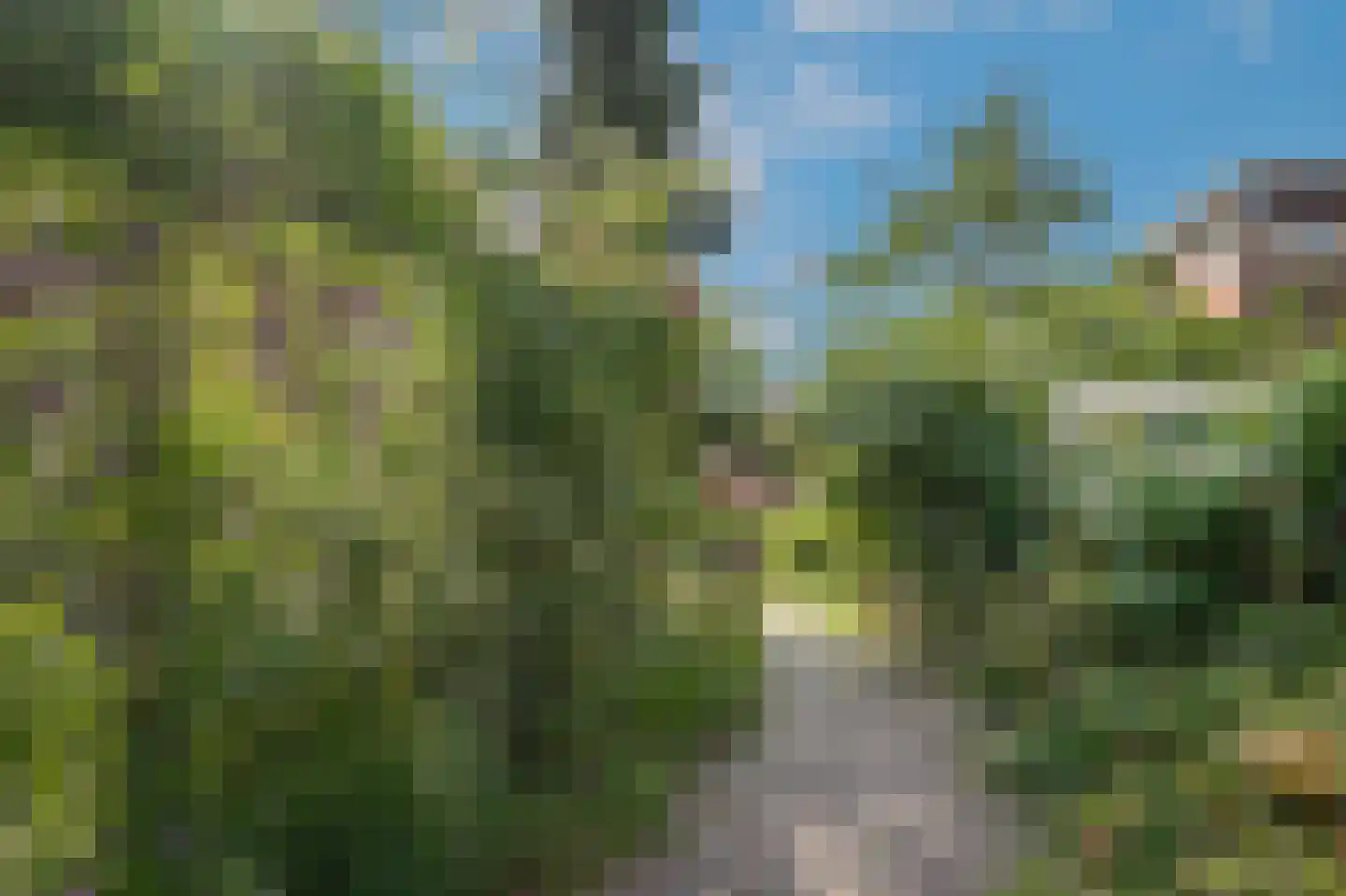 Vrouwjuttenhof 46 Utrecht thumbnail 37