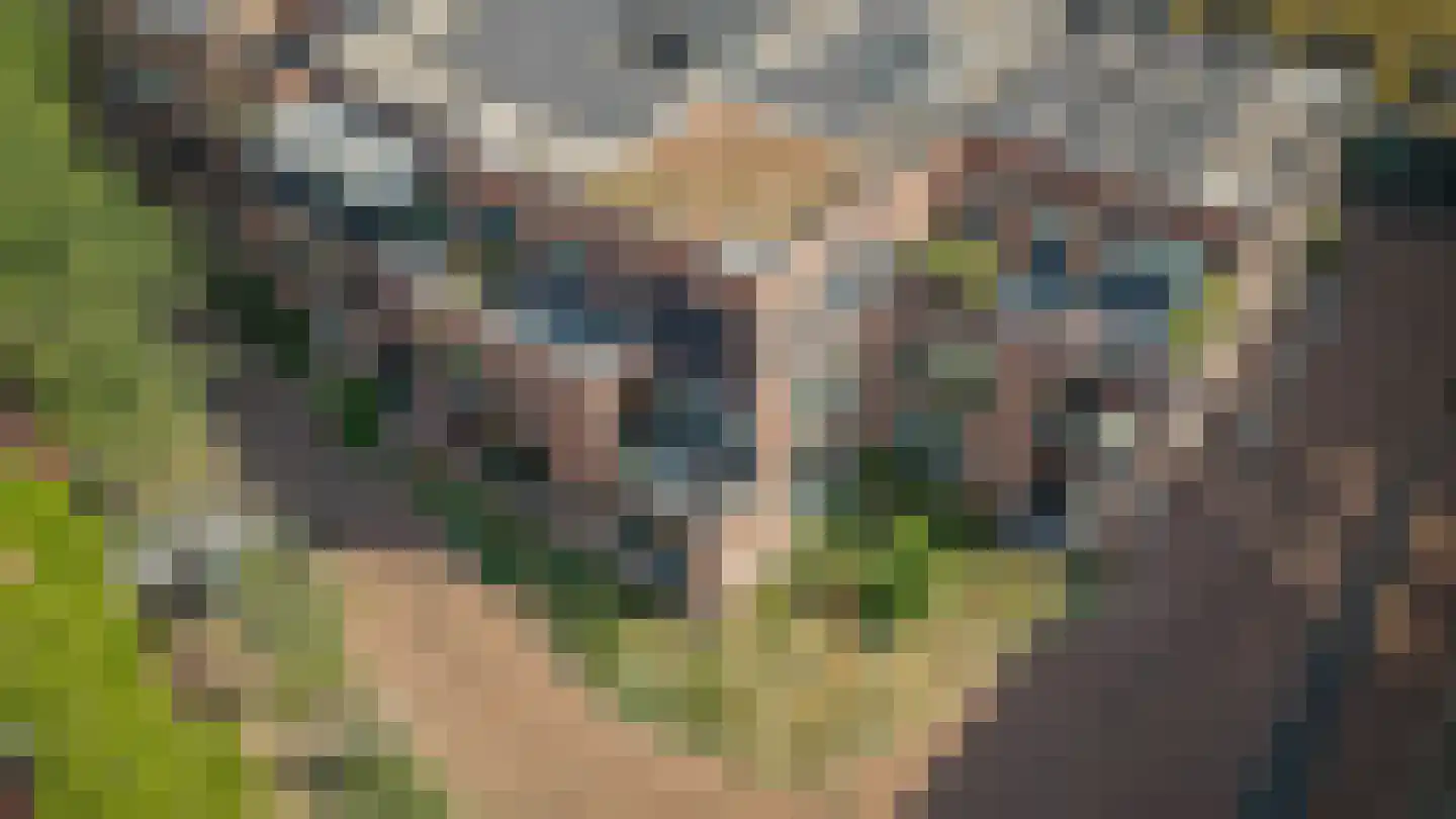 Vrouwjuttenhof 46 Utrecht thumbnail 38