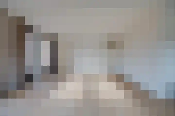 Vrouwjuttenhof 56 Utrecht thumbnail 13