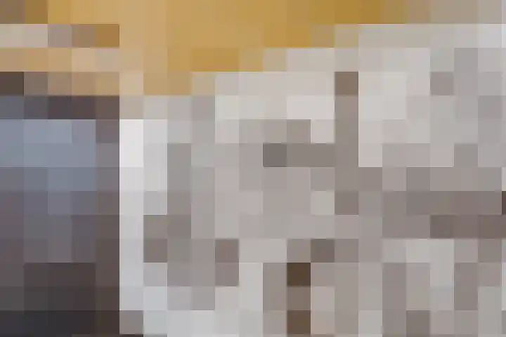 Vrouwjuttenhof 56 Utrecht thumbnail 34